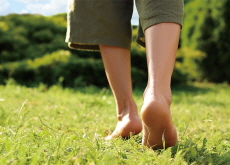 The Earthing Trend - Focus