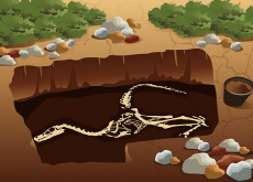 New ‘Titan’ Dinosaur Discovered in Europe - Science