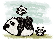 Everland’s Twin Pandas Captured in Time’s Top 100 - Global News