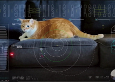 NASA Beams Cat Video From Deep Space via Laser - Headline News