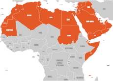 The Arab Spring - History