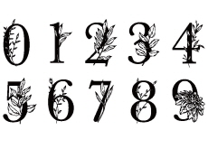 The History of the Arabic Numerals - History