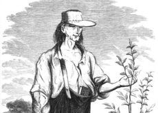 The Man Behind the Myth: Johnny Appleseed - People