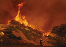 Wildfires Devastate Greater Los Angeles - Global News