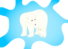 Meet Nur, Latin America’s First Baby Polar Bear - In Spotlight