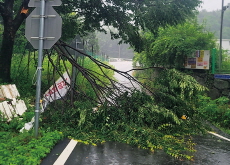 Heavy Rains Bring Flooding and Travel Disruptions - National News I