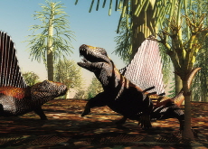 Before the Dinosaurs: Monsters Time Forgot - Science
