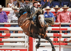 Calgary Stampede Rodeo - Photo News
