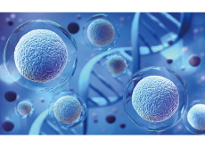 Spaceflight May Accelerate Stem Cell Aging Tenfold - Special Report