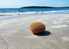 Plastic Comes Full Circle in ‘Neptune Balls’ on Coastlines - Science