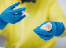 Is Stem Cell Research the Beginning of the End of Animal Testing? - Debate