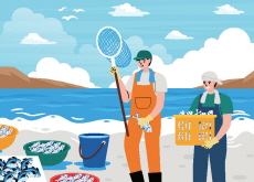 Celebrity Chefs Bring Fresh Flavor to Tongyeong Fish Market Festival - Culture