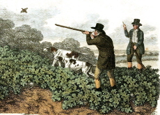 New Study Maps Parallel Journeys of Humans and Their Dogs - Science