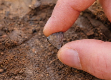 Archaeologists Uncover the Earliest Evidence of Fire-Making - Science