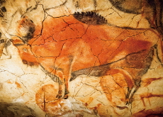 Prehistoric Art: The Cave of Altamira - Arts