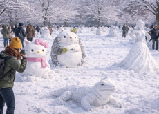 Brooklyn Park Turns Into a Snow Museum Overnight - In Spotlight