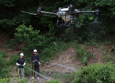 Drones Join the Fight Against Seoul’s Lovebug Swarms - National News I