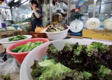 Extreme Weather Pushes Up Vegetable Prices in South Korea - Photo News