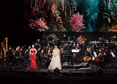 Beyond ‘Barrier-Free’ to ‘No Barrier’: Public Theaters Expand Audience Reach - Culture