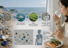 The Science Behind Microplastics in Our Food and Water - Science