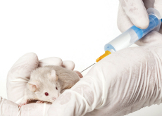 Animal testing should be banned - Debate