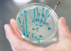 Personal Bacteria Cloud - Science