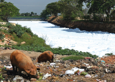 Dumping Waste Leads to Toxic Foam in India’s Lake - World News I