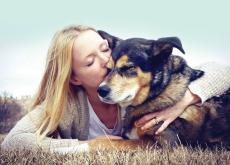 Dogs Seem to Understand Emotions - Knowledge