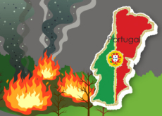 Wildfires Devastate Portugal - World News II