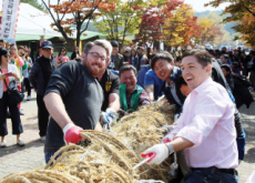 Icheon Rice Cultural Festival - In Spotlight