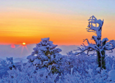 Snow Festivals In Korea - In Spotlight