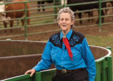 Temple Grandin - Helping The World Understand Autism And Animal Welfare - People