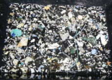 Pacific Ocean Plastic Patch Grows - Science