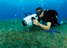 Probing Underwater For New Medicines - Science
