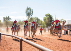 The 2018 Uluru Camel Cup - In Spotlight