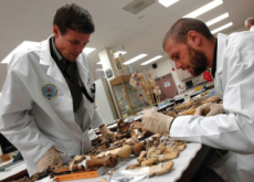 Identifying Human Remains - Culture/Trend