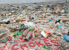 Coca-Cola, The World’s Worst Plastic Polluter - Focus