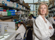 CRISPR Patent Finally Granted To University Of California - Science