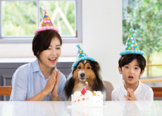 National Pet Day - History