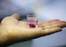 3D-Printed Heart - Science