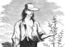 Johnny Appleseed Day - History
