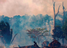The Amazon Wildfires and Sovereignty - World News II