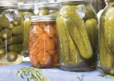 Pickle Day - History