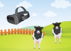 VR Goggles on Cows - World News II