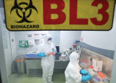 New Virus Discovered in China - Headline News