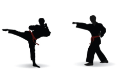 Kyokushin Karate - Sports
