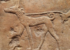 How Did Wolves Become Dogs? - History