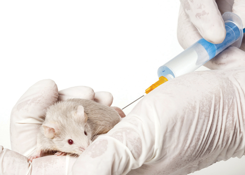 Animal testing should be banned0