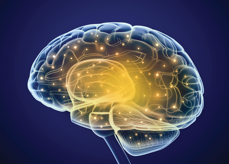 Default Mode Network5