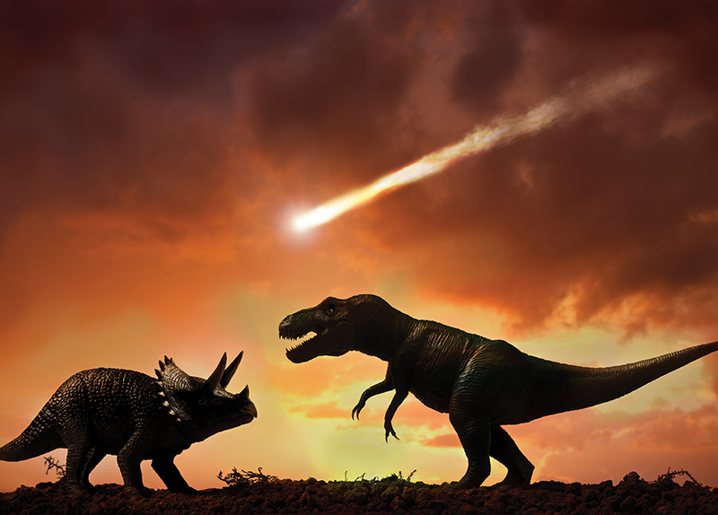 How Mammals Outlived the Dinosaurs - Beyond the Window